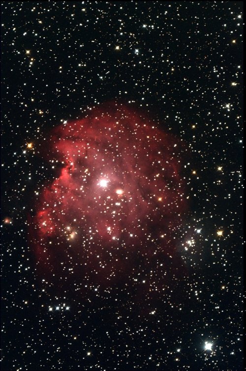 NGC 2175 : La Nébuleuse de la Tête de Singe par Jean-Pierre Dupré