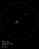 NGC 185 galaxie dans Cassiopée (satellite éloignée de M31)